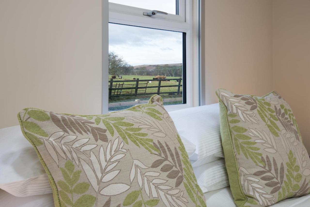 Brown Rigg Guest Rooms Bellingham Buitenkant foto